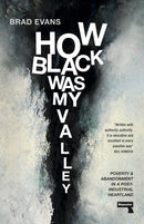 How Black Was My Valley : Poverty and Abandonment in a Post-Industrial Heartland-9781913462840