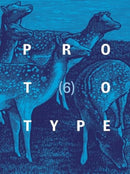 PROTOTYPE 6