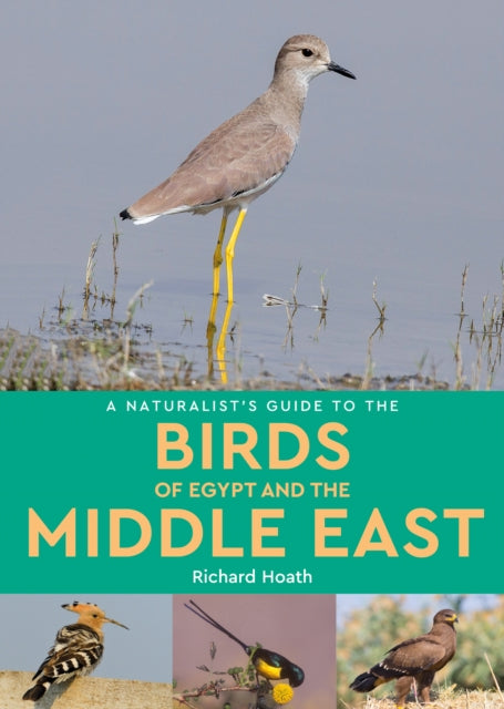 A Naturalist's Guide to the Birds of Egypt and the Middle East-9781913679026