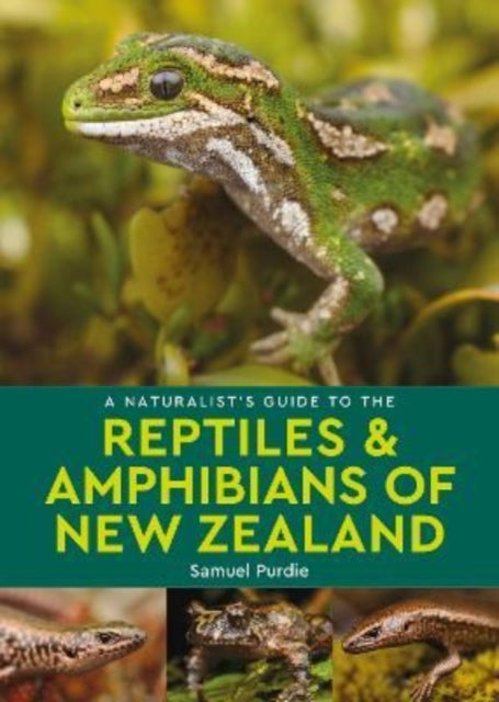 A Naturalist's Guide to the Reptiles & Amphibians Of New Zealand-9781913679316