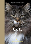New Photography of the Cat. : The best new photography of cats.-9781914314940
