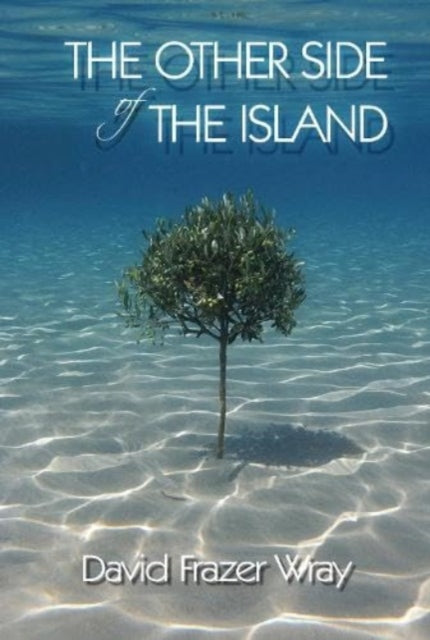 The Other Side Of The Island-9781914399657