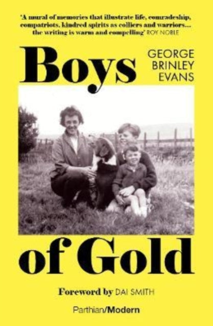 Boys of Gold-9781914595264
