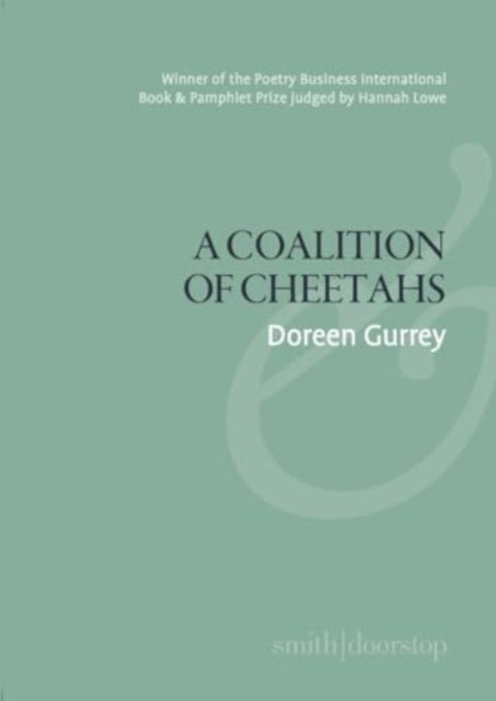 A Coalition of Cheetahs-9781914914720