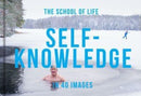 Self-Knowledge in 40 Images : The art of self-understanding-9781915087423