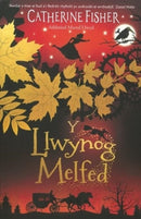 Y Llwynog Melfed-9781915444752