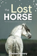 The Lost Horse : Book 6 in the Connemara Horse Adventure Series for Kids-9781915542113