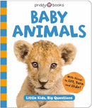 Baby Animals (Little Kids, Big Questions)-9781916745650