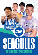 The Official Seagulls Calendar 2026-9781916755758