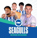 The Official Seagulls Desk Calendar 2026-9781916755826
