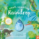 Small, Sparkling Raindrop : A fact-filled picture book about the water cycle with a large fold-out (ages 4-8)-9781916780101