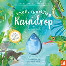 Small, Sparkling Raindrop