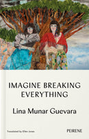 Imagine Breaking Everything-9781916806122