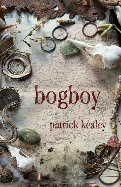 Bogboy-9781917000086