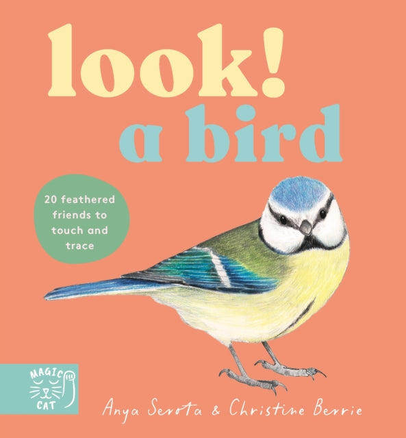 LOOK! A Bird