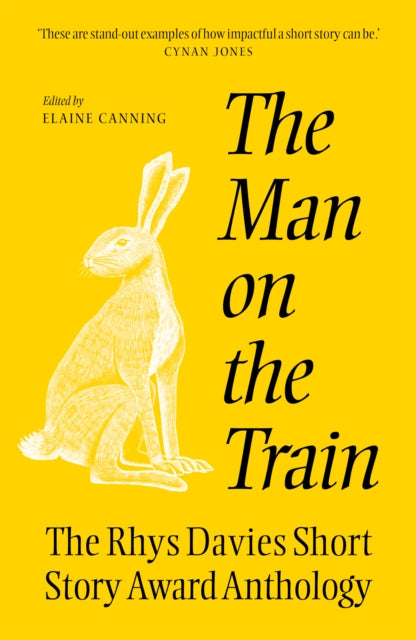 The The Man on the Train : The Rhys Davies Short Story Competition Anthology-9781917140898