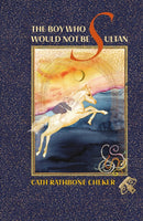 The Boy Who Would Not Be Sultan-9781917625036