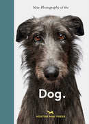 New Photography of the Dog