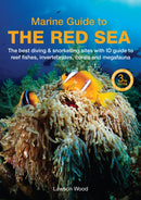 Marine Guide to the Red Sea