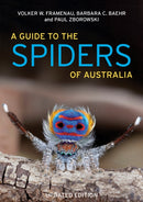 A Guide to Spiders of Australia : Updated edition-9781921517242