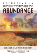 Operating in Abundance (Japanese Edition)-9781922428813
