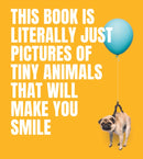 This Book Is Literally Just Pictures of Tiny Animals That Will Make You Smile-9781922754578