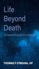 Life Beyond Death : A Traveler's Guide for Christians-9781923603684