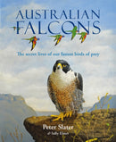Australian Falcons : The secret lives of our fastest birds of prey-9781925546743