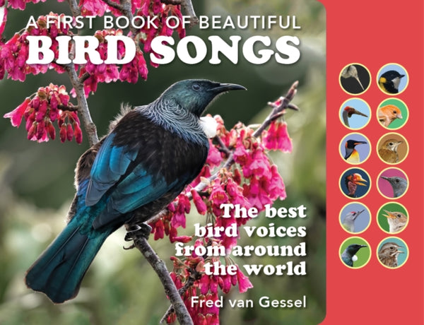 A First Book of Beautiful Bird Songs : The best bird voices from around the world-9781925546774