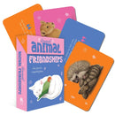 Unusual Animal Friendships : Love found in unexpected places-9781925946857