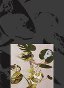 Kandis Williams: A Surface-9781935963332