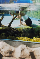 Aquarium-9781940881461