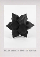 Frank Stella''s Stars: A Survey