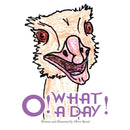O! What a Day!-9781943331253