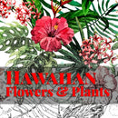 Hawaiian Flowers & Plants-9781943476275