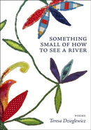 Something Small of How to See a River-9781946482822