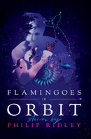 Flamingoes in Orbit-9781948405041