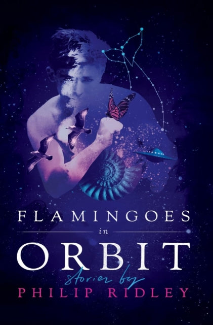 Flamingoes in Orbit-9781948405041