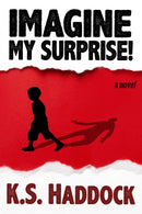 Imagine My Surprise! : A Novel-9781949846843