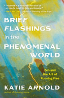 Brief Flashings in the Phenomenal World-9781952692697