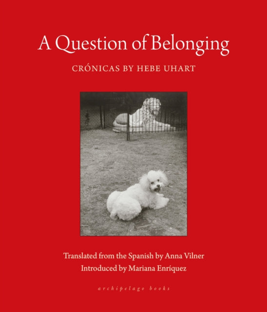 A Question Of Belonging : Cronicas-9781953861801