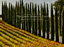 The Green Heart of Italy