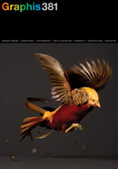 Graphis Journal Magazine 381-9781954632271