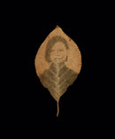 Binh Danh: The Enigma of Belonging-9781955161039