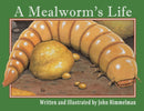 A Mealworm's Life-9781956381160