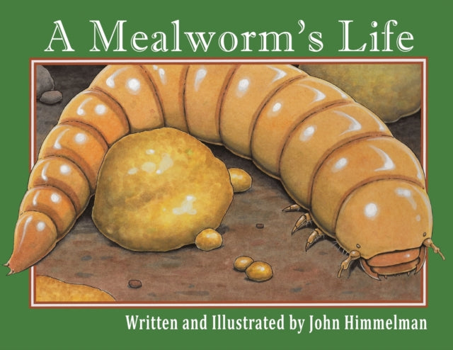 A Mealworm's Life-9781956381160