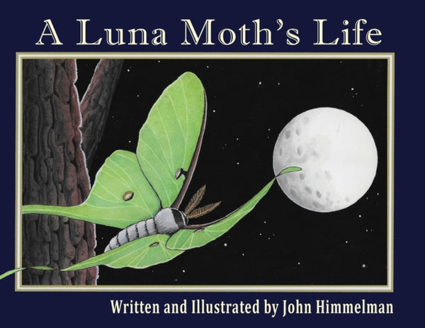 A Luna Moth's Life-9781956381184
