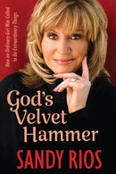 God's Velvet Hammer : How an Ordinary Girl Was Called to Do Extraordinary Things-9781956454383