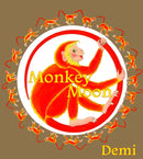 Monkey Moon-9781957670065