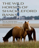 Wild Horses of Shackleford Banks-9781958888254